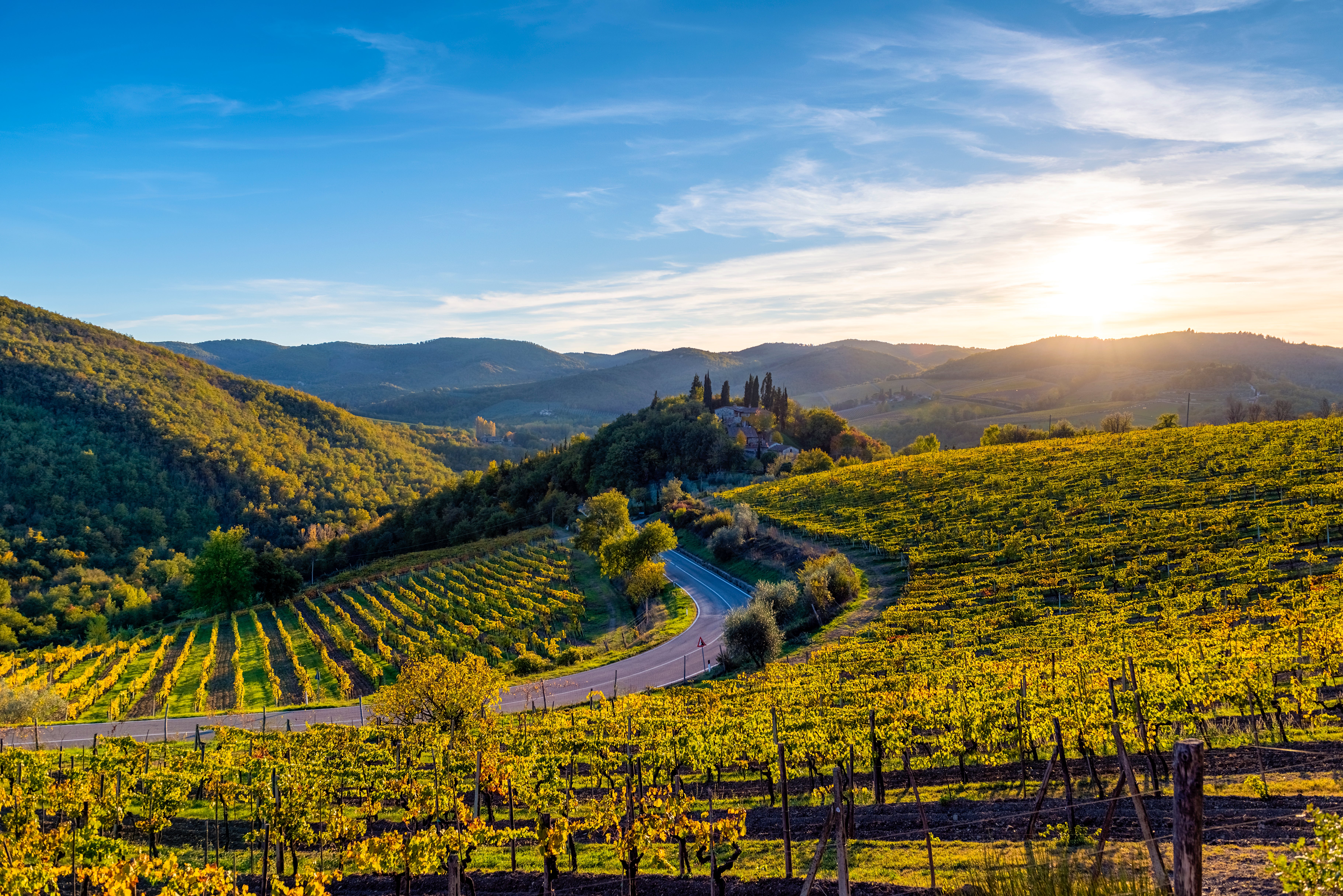 The World's Best Vineyards - The Points Guy