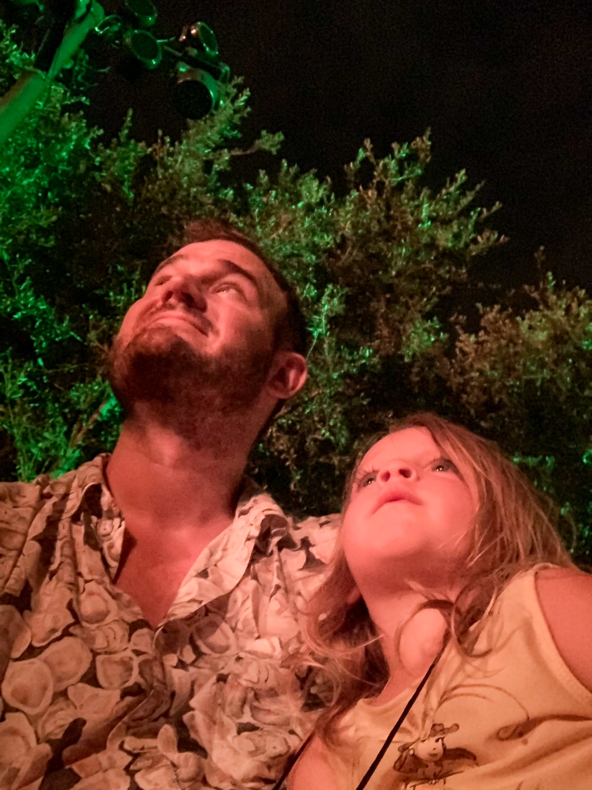 personal tour guide at disney world