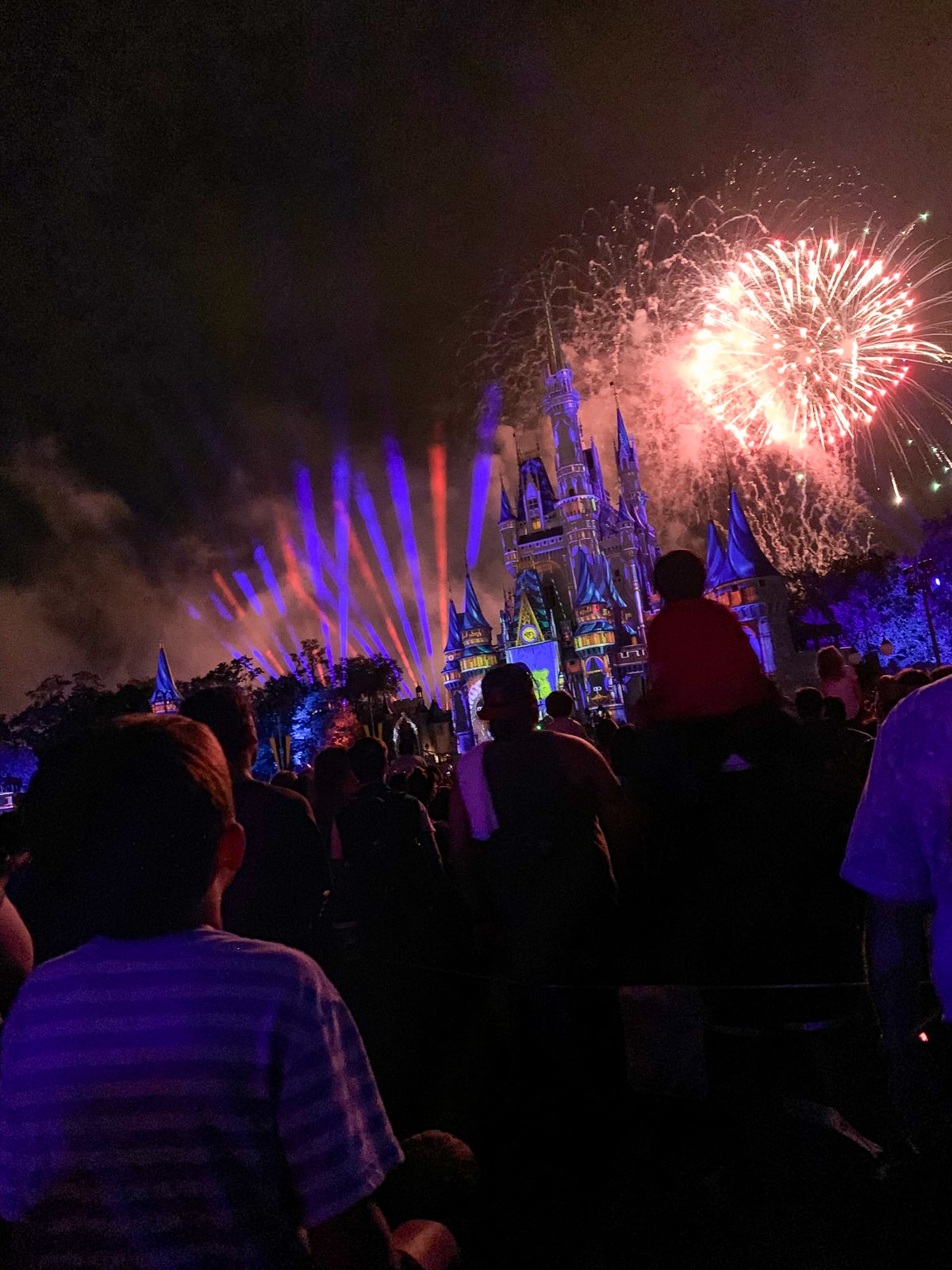 personal tour guide at disney world