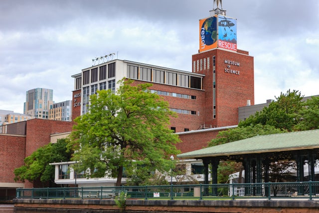 11 Fun Things to Do in Boston With Kids - The Points Guy