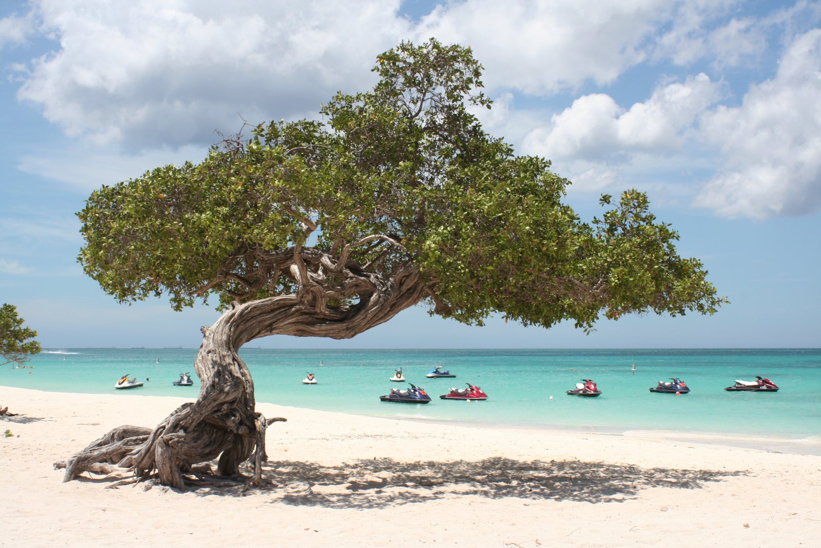 Eagle Beach in Aruba. (Foto door Marc Boettinger / Getty Images)