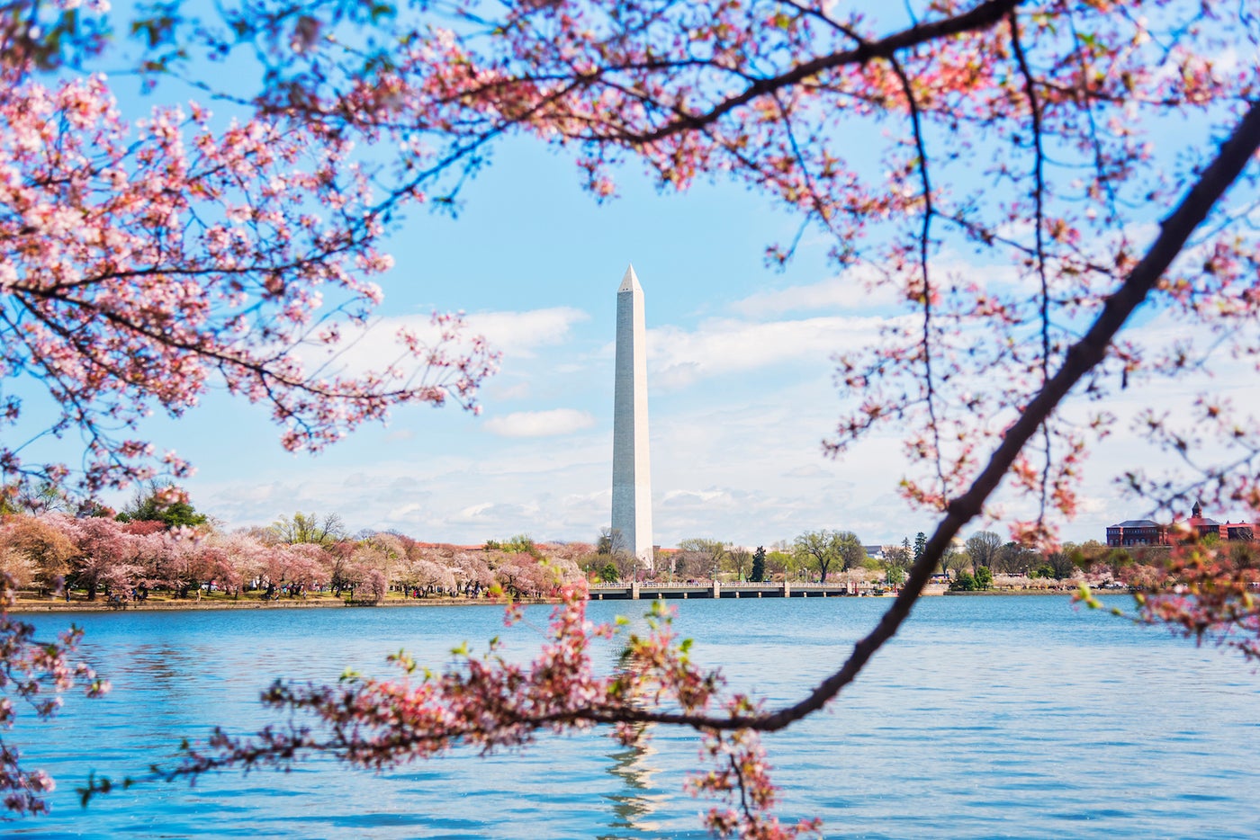 The Best Times to Visit Washington DC