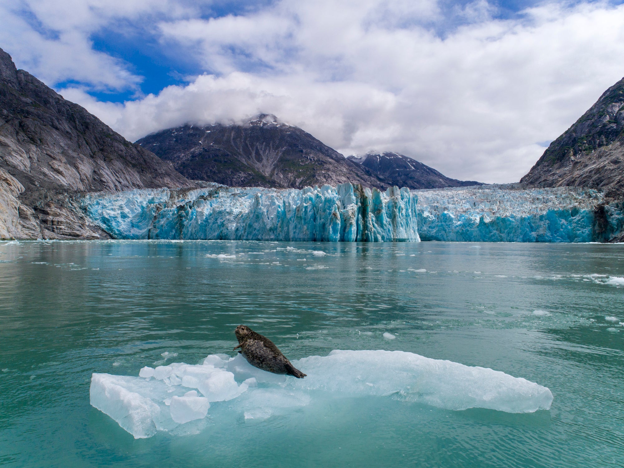 Dawes Glacier at the Endicott Arm