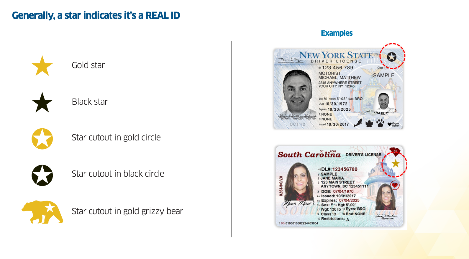 travel id vs license