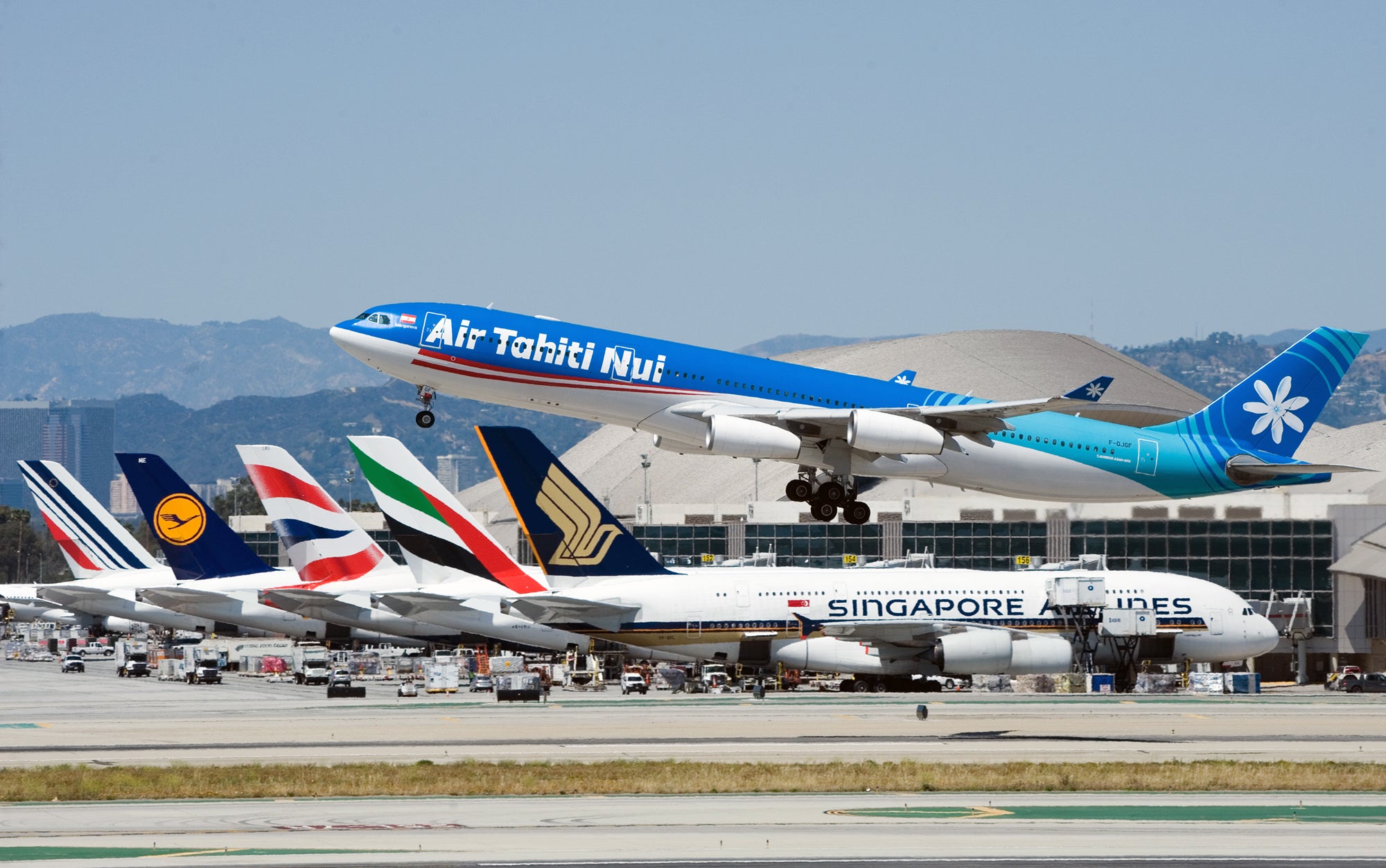 French Flag Carrier Logo