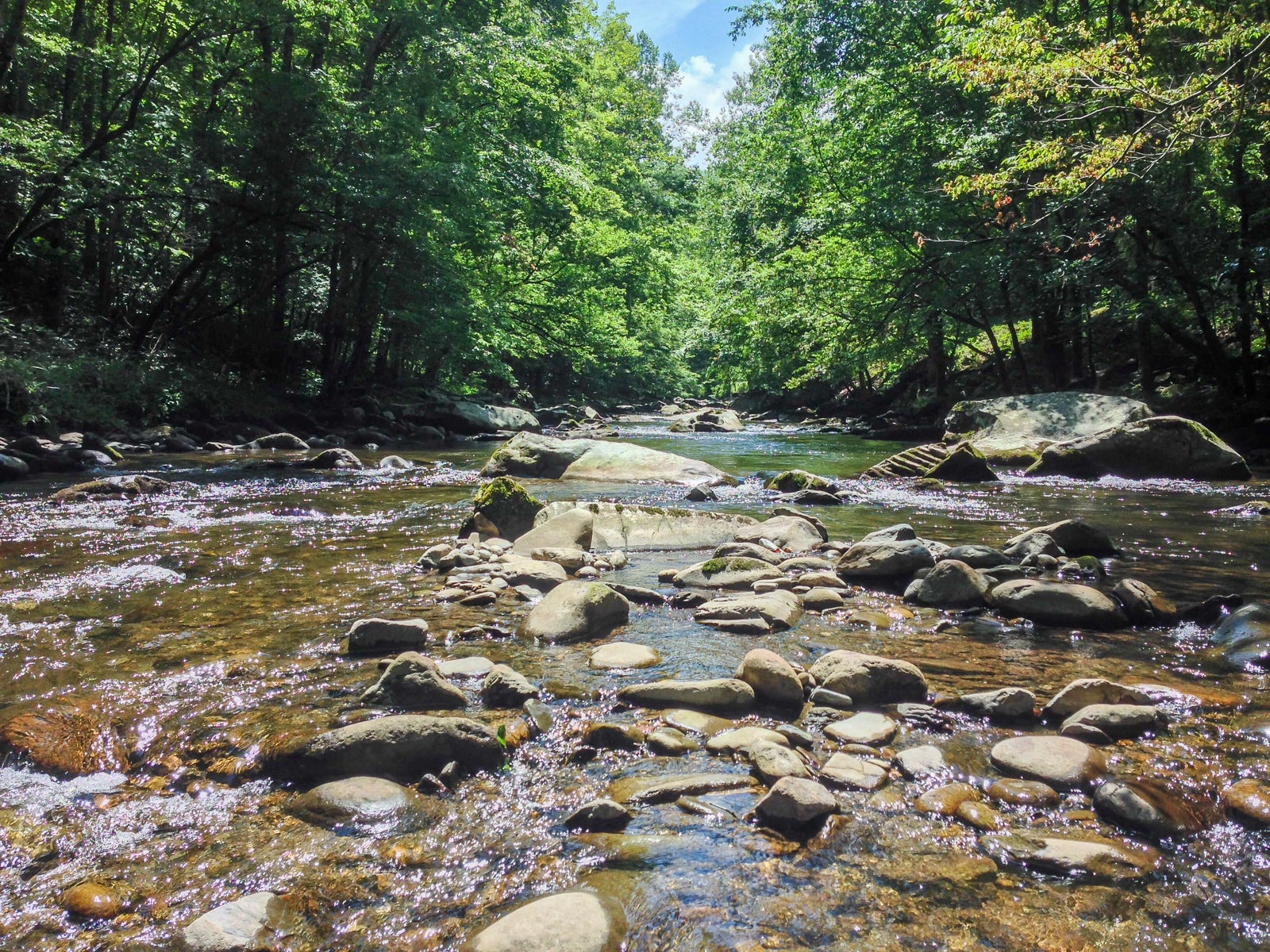 The essential guide to renting a cabin in the Smoky Mountains - The ...