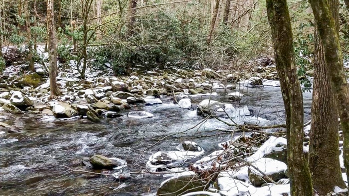 The essential guide to renting a cabin in the Smoky Mountains