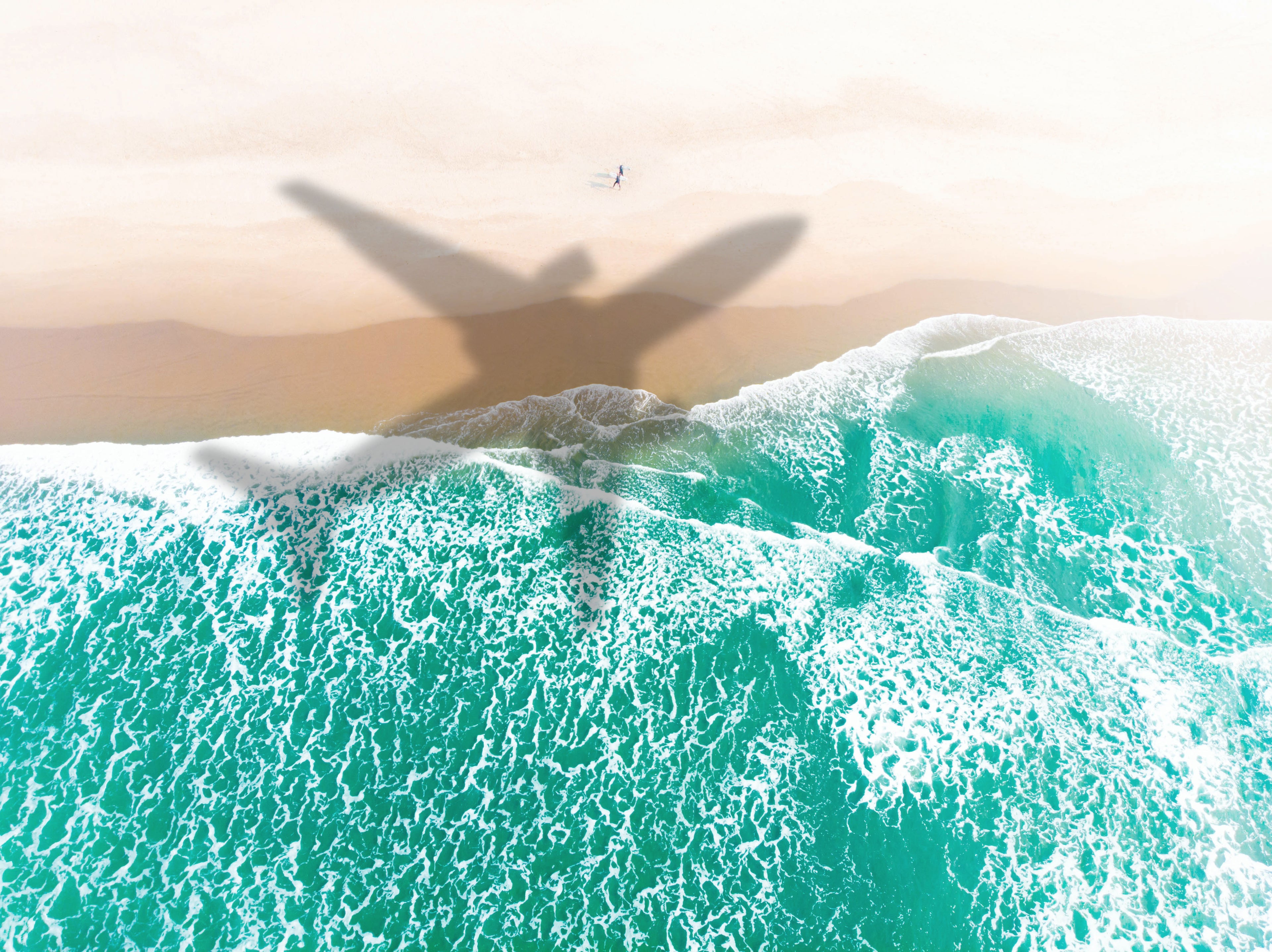 Airplane shadow flying above paradise beach taking from window.