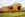 Quinta da Pacheca. (Photo courtesy of PedroQuartinGraca/Shutterstock)