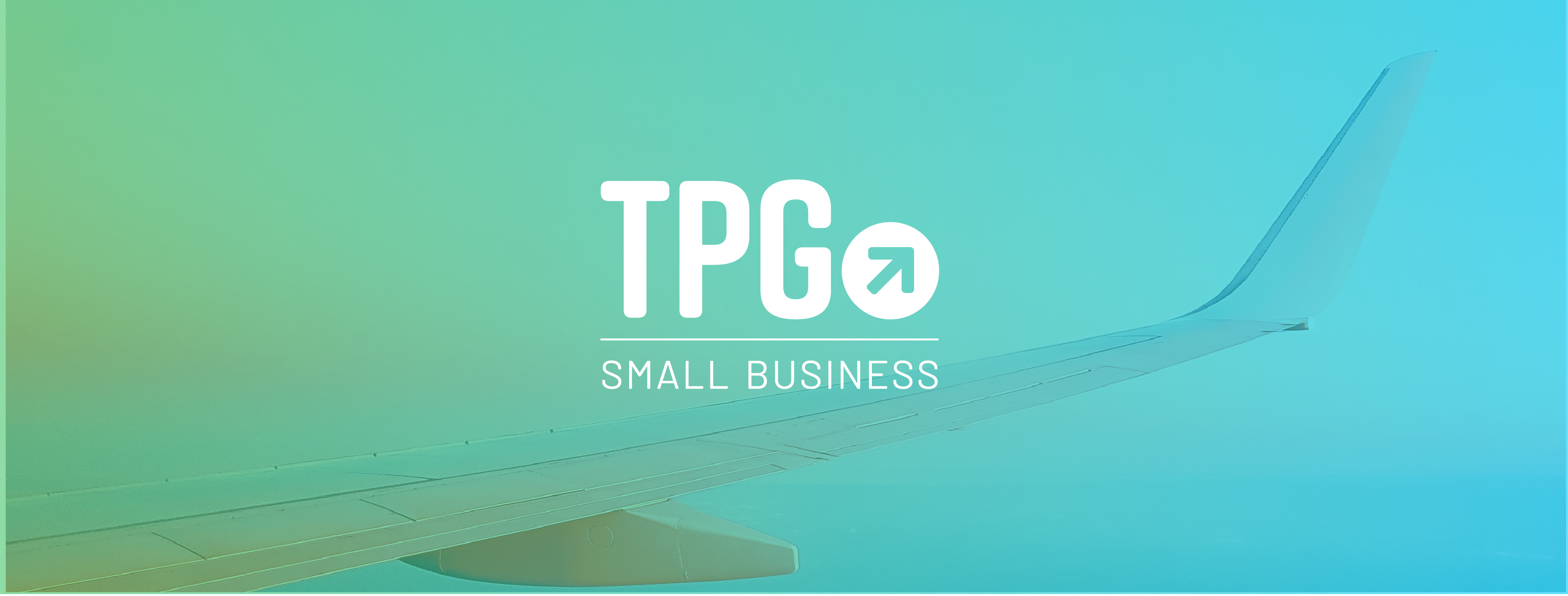 tpg small business plans