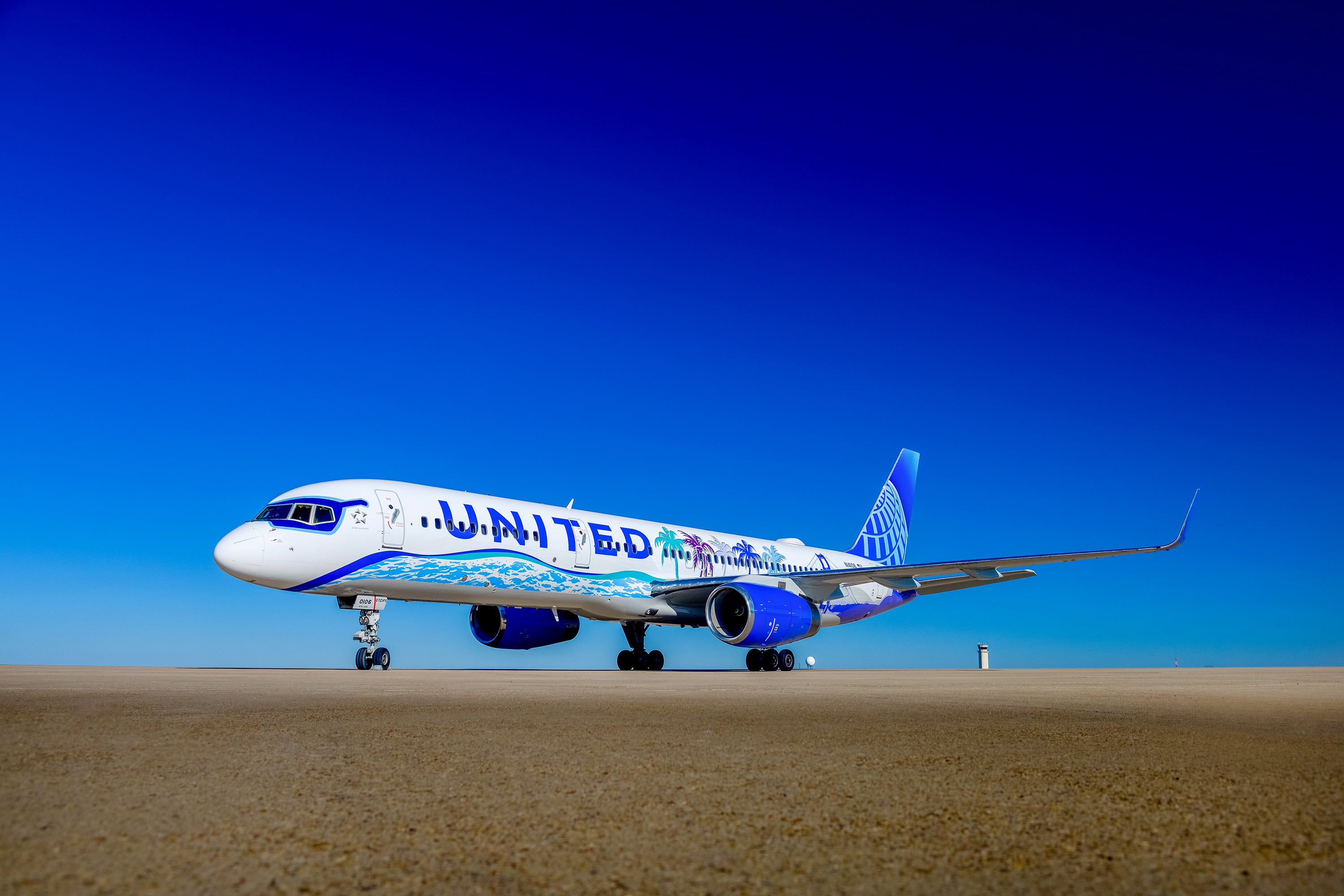 United Airlines Her Art Here California Livery - Full View