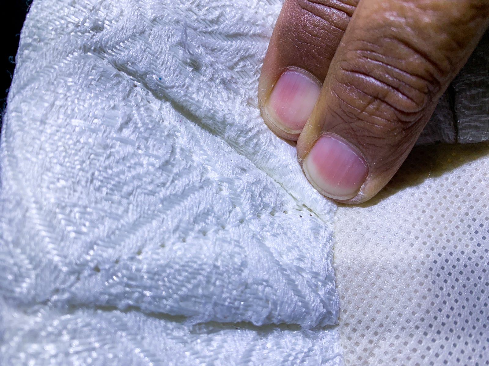 can bed bugs live on a mattress protector