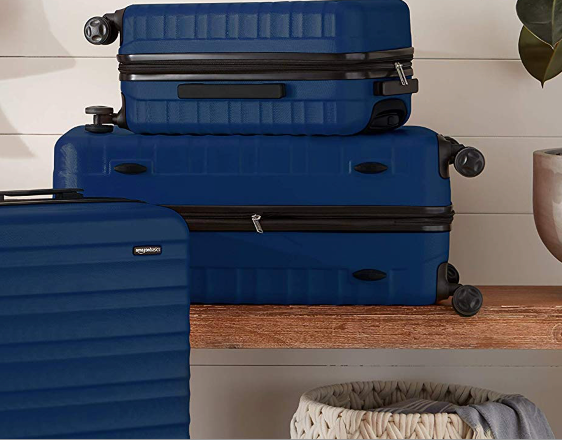 Amazon Basics luggage 6