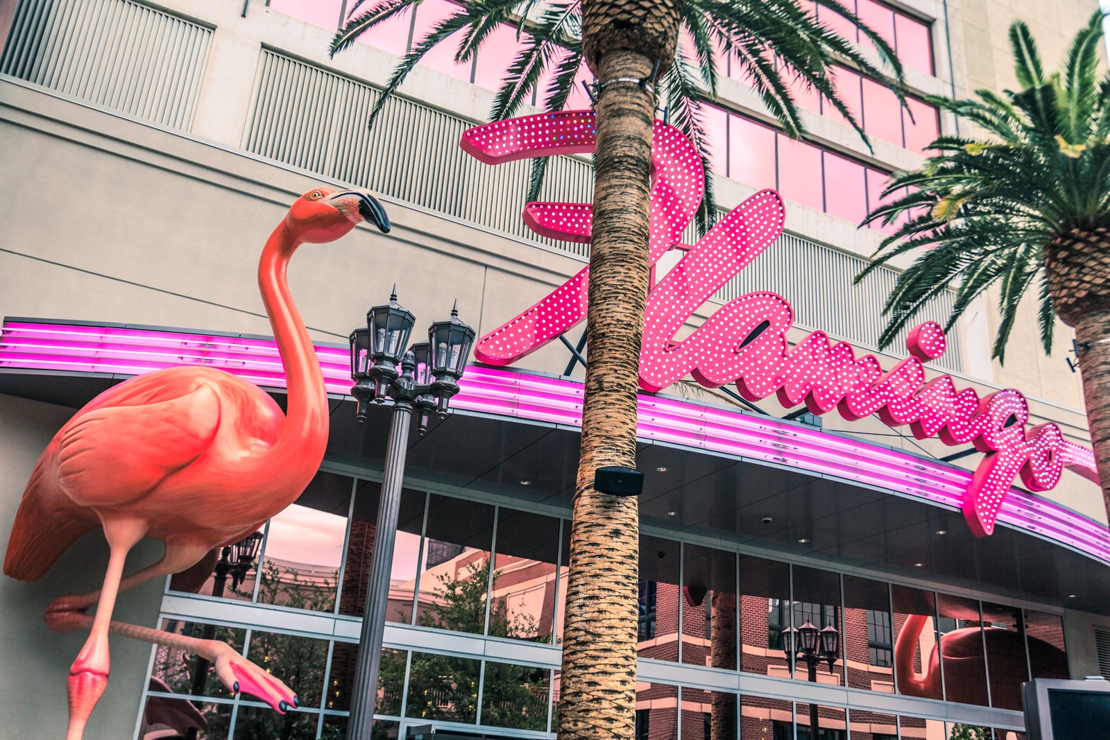 casino las vegas flamingo