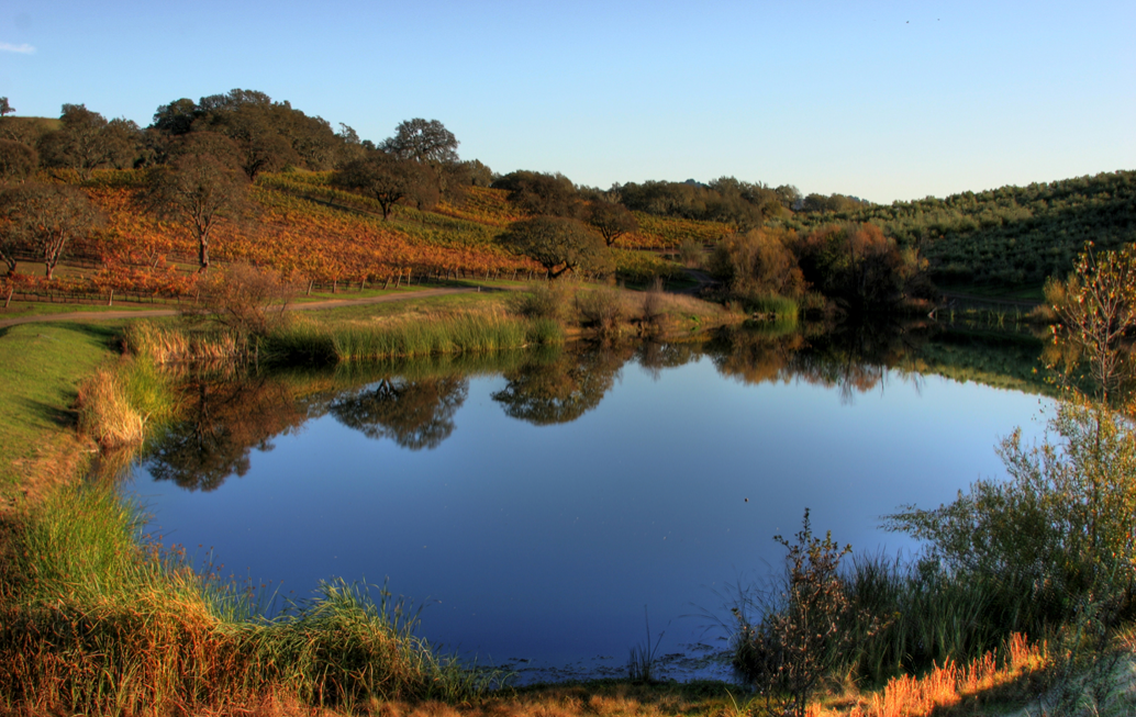 Sonoma after the fire offers a wine country welcome - The Points Guy