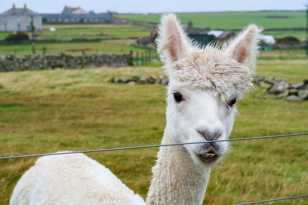 8 things I learned while stranded in Orkney, Scotland The Points Guy