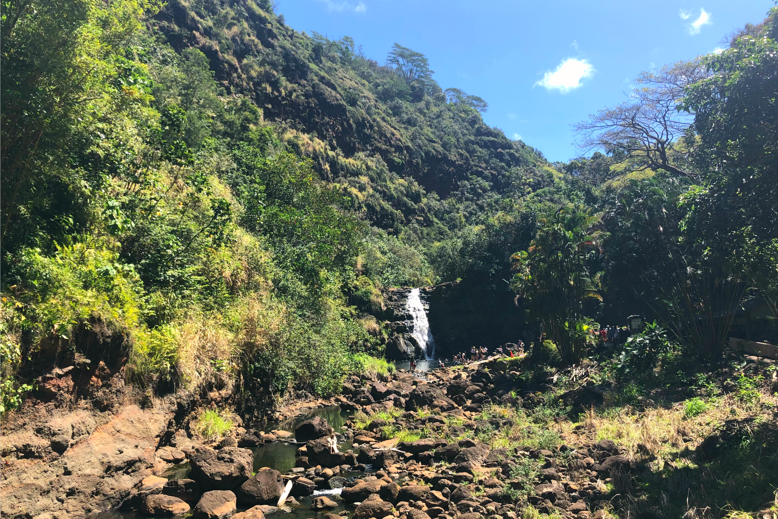 Oahu Waimea Valley Waterfall