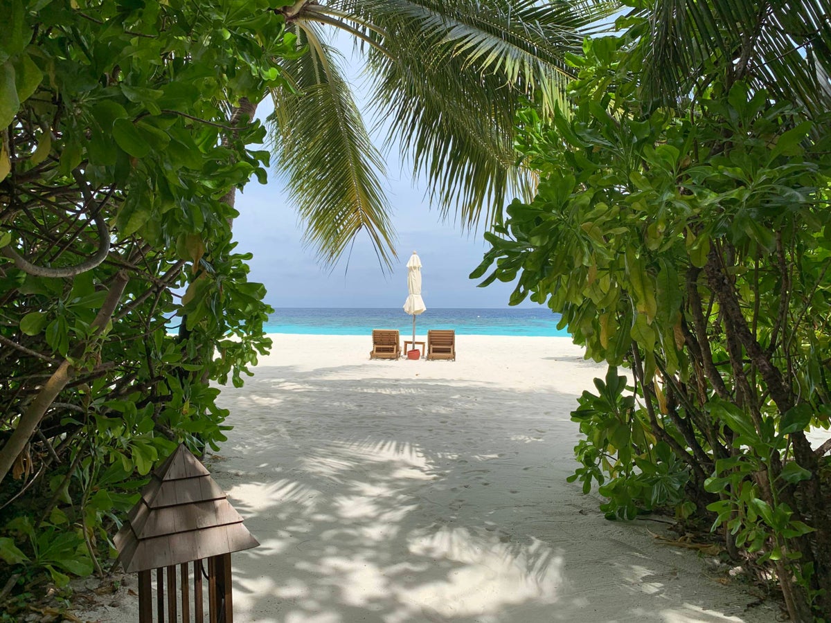 20 of the best Hilton hotels in the US bookable for 20k points or less