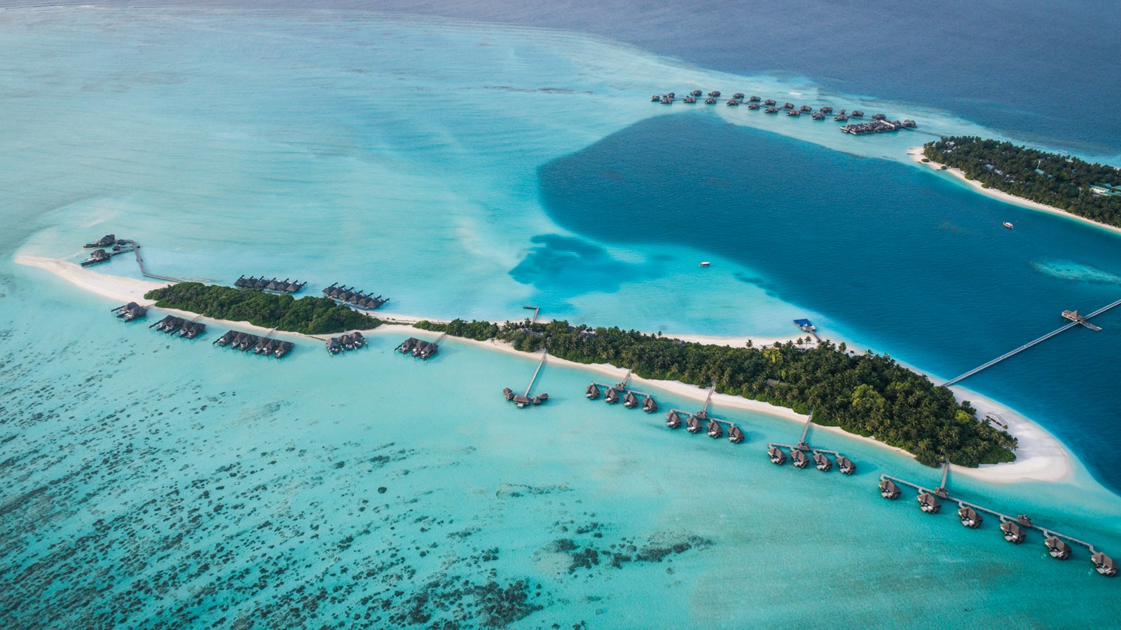 maldives travel flyer