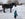 Crested Butte