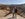 Charyn Canyon. (Photo by Carissa Rawson/The Points Guy).