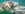 Crystal River manatees