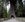 The Chandelier tree (Photo by Peter Baker/Getty Images)