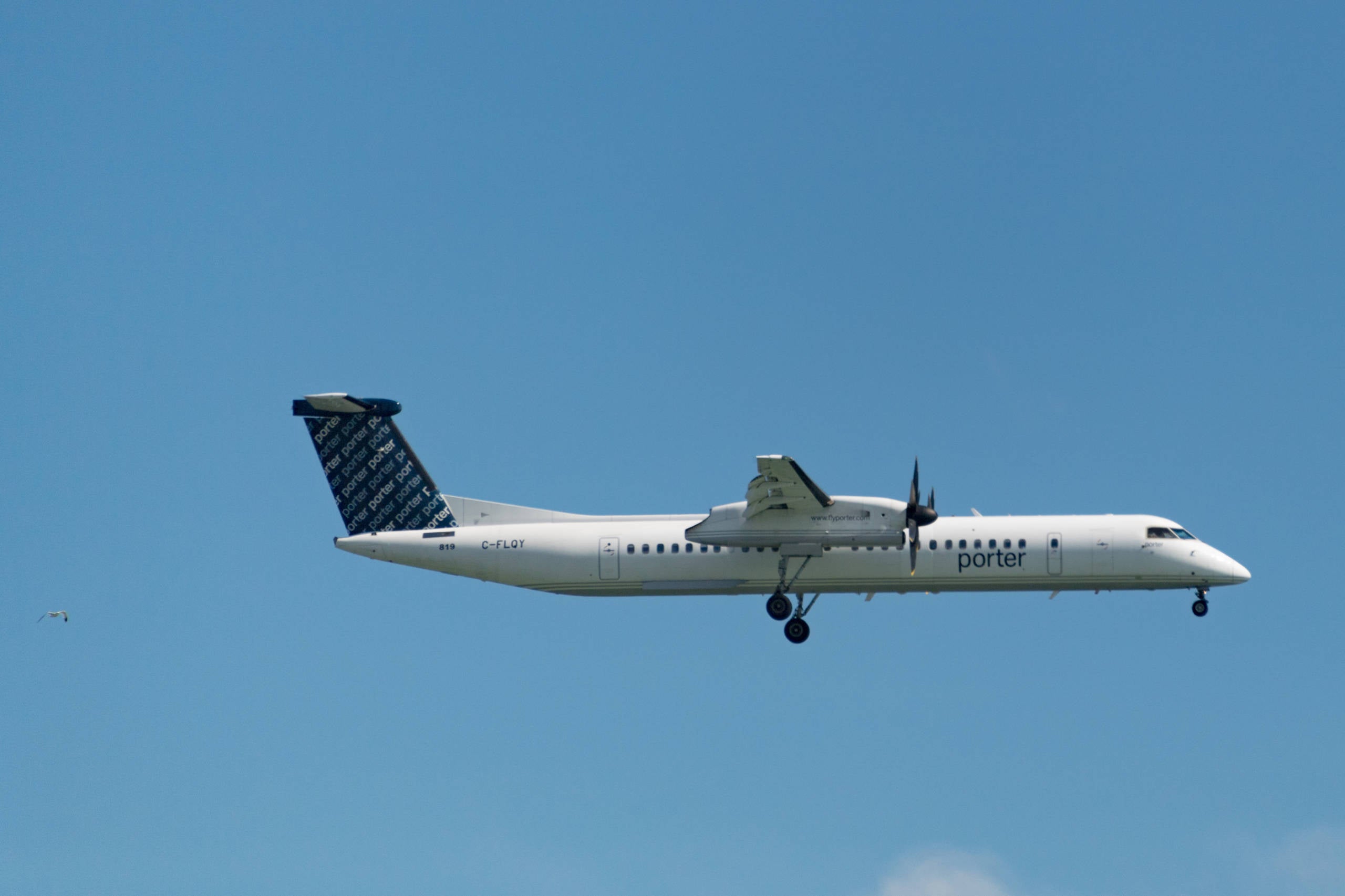 Porter Airlines aeroplane flying in the air, the sleek white