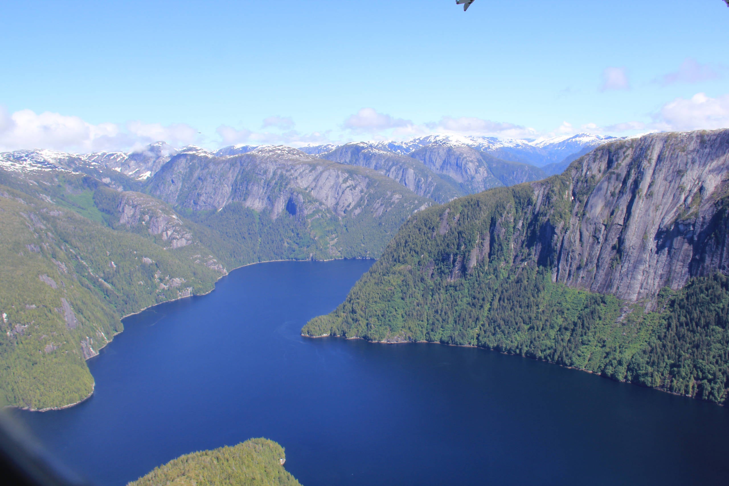 princess cruise alaska excursion