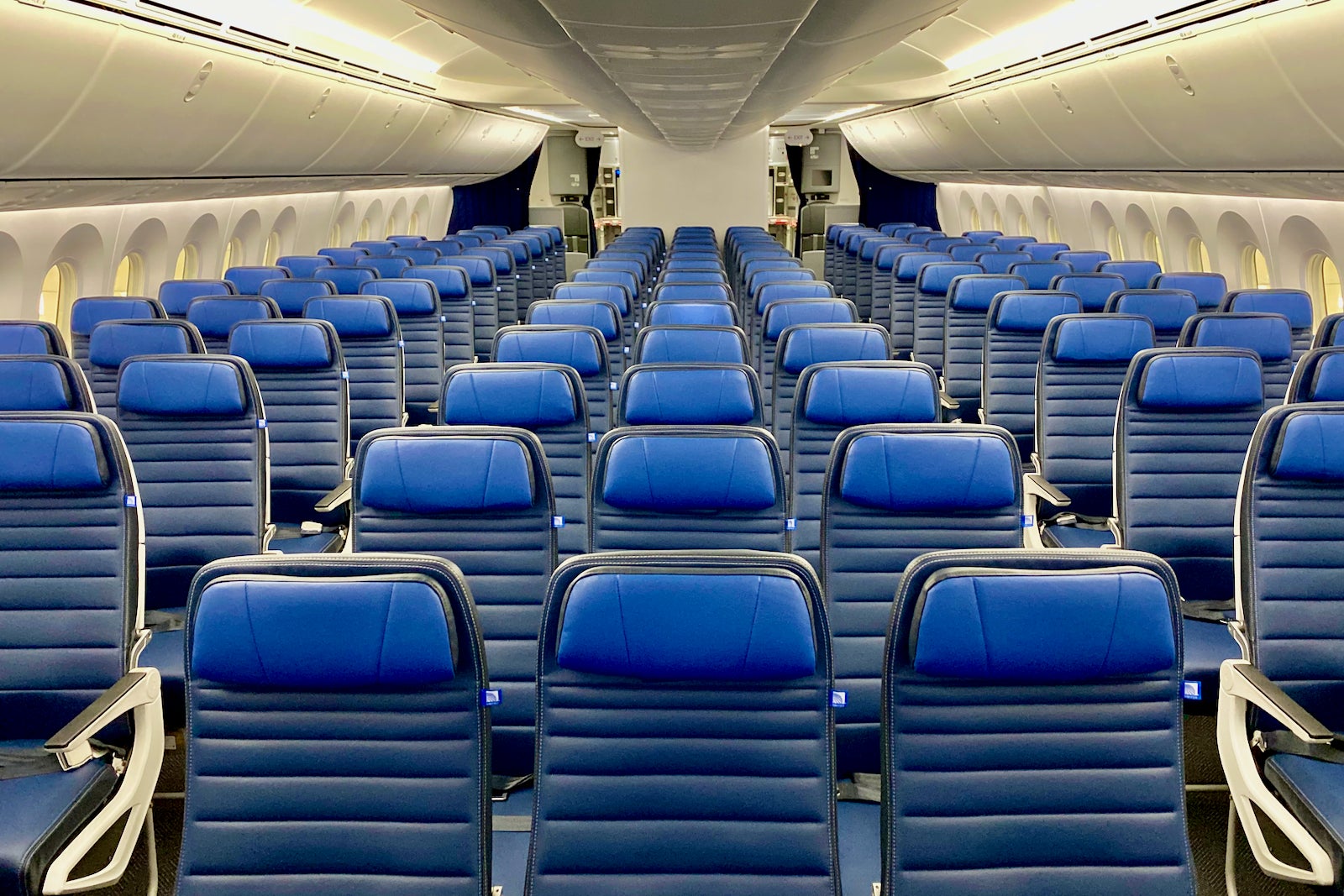 United Dreamliner economy cabin