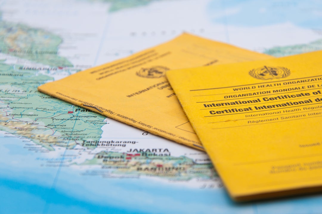 These are the global coronavirus travel restrictions by country - The ...