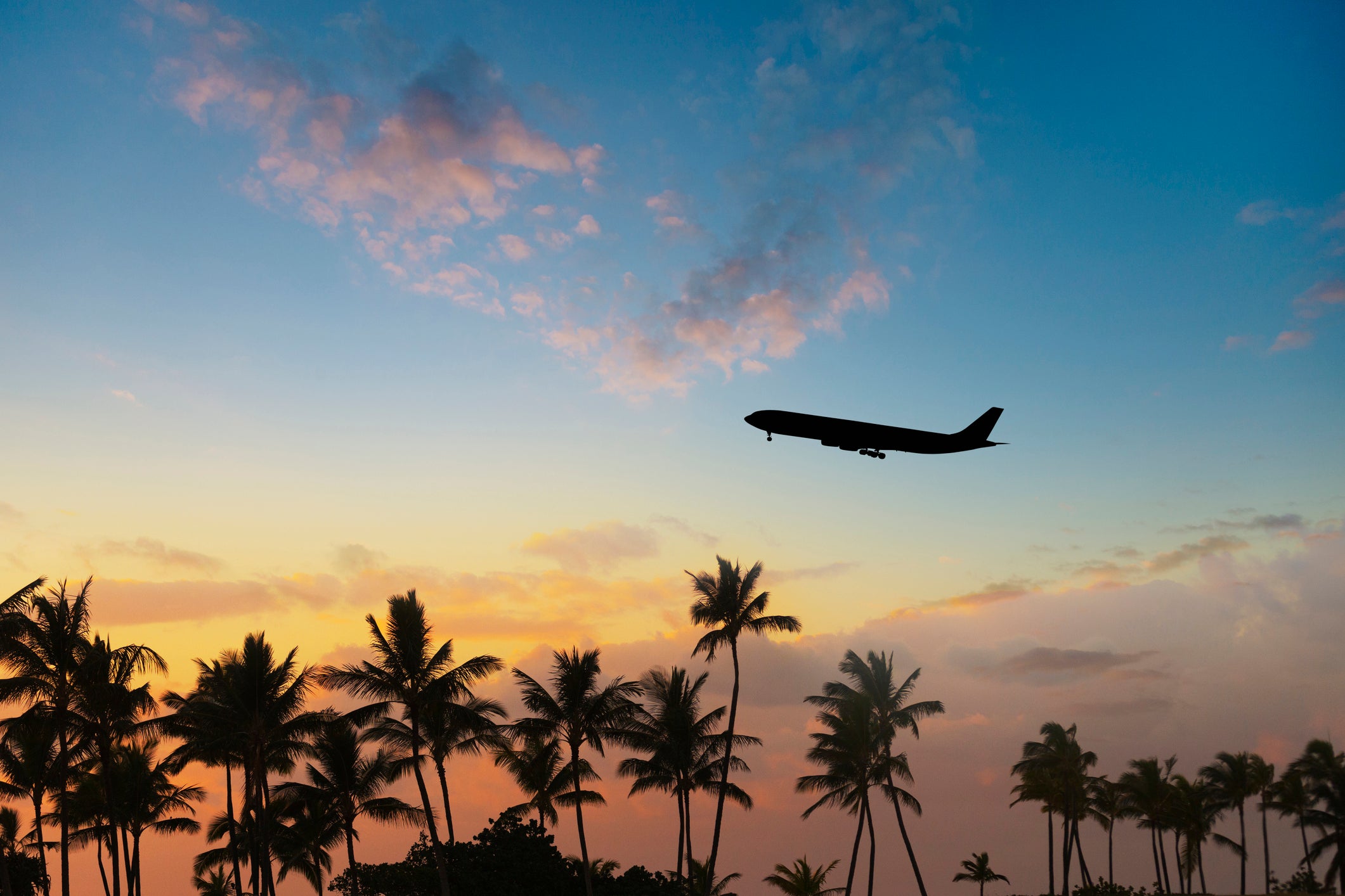 Silhouette of airplane flying over palm trees in sunset