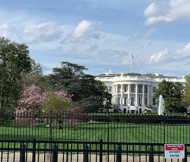 white house 2019