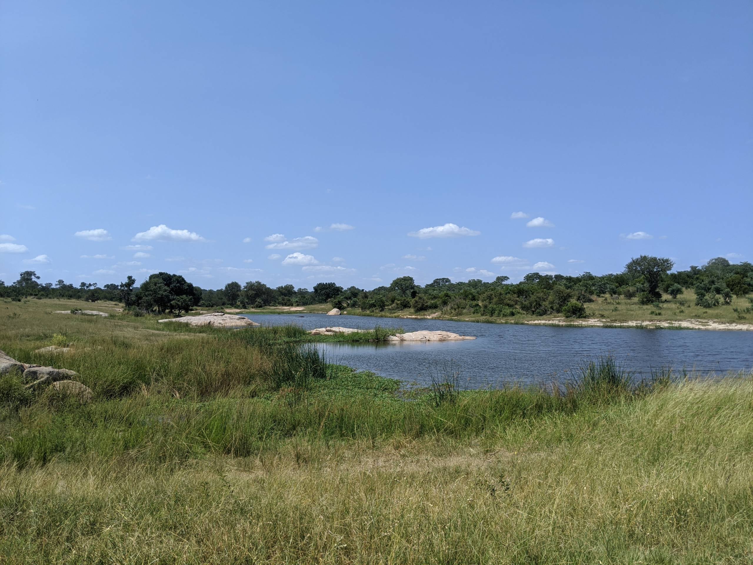 Kruger National Park water hole