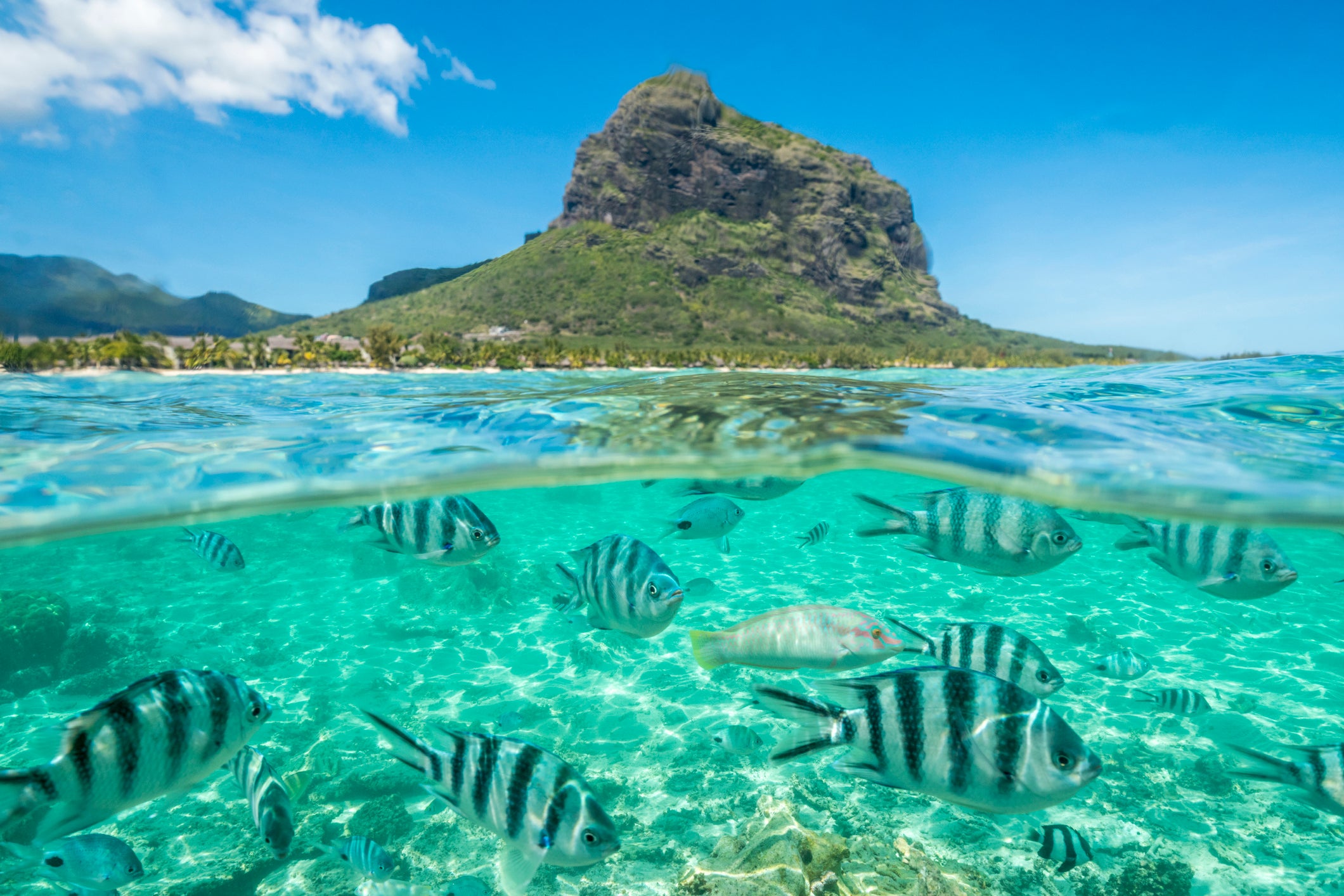 Le Morne Brabant, Black River district, Indian Ocean, Mauritius (Photo by Roberto Moiola/Getty Images)