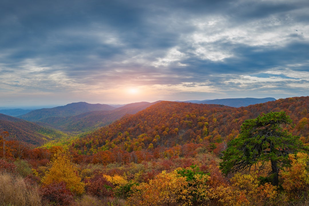 The best US national parks you should visit at least once (or twice ...