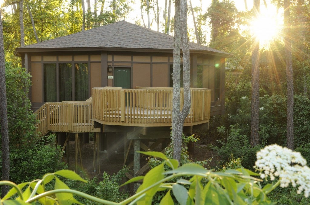 Disney Treehouse Villas