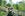 Black Bear Trail - Dollywood