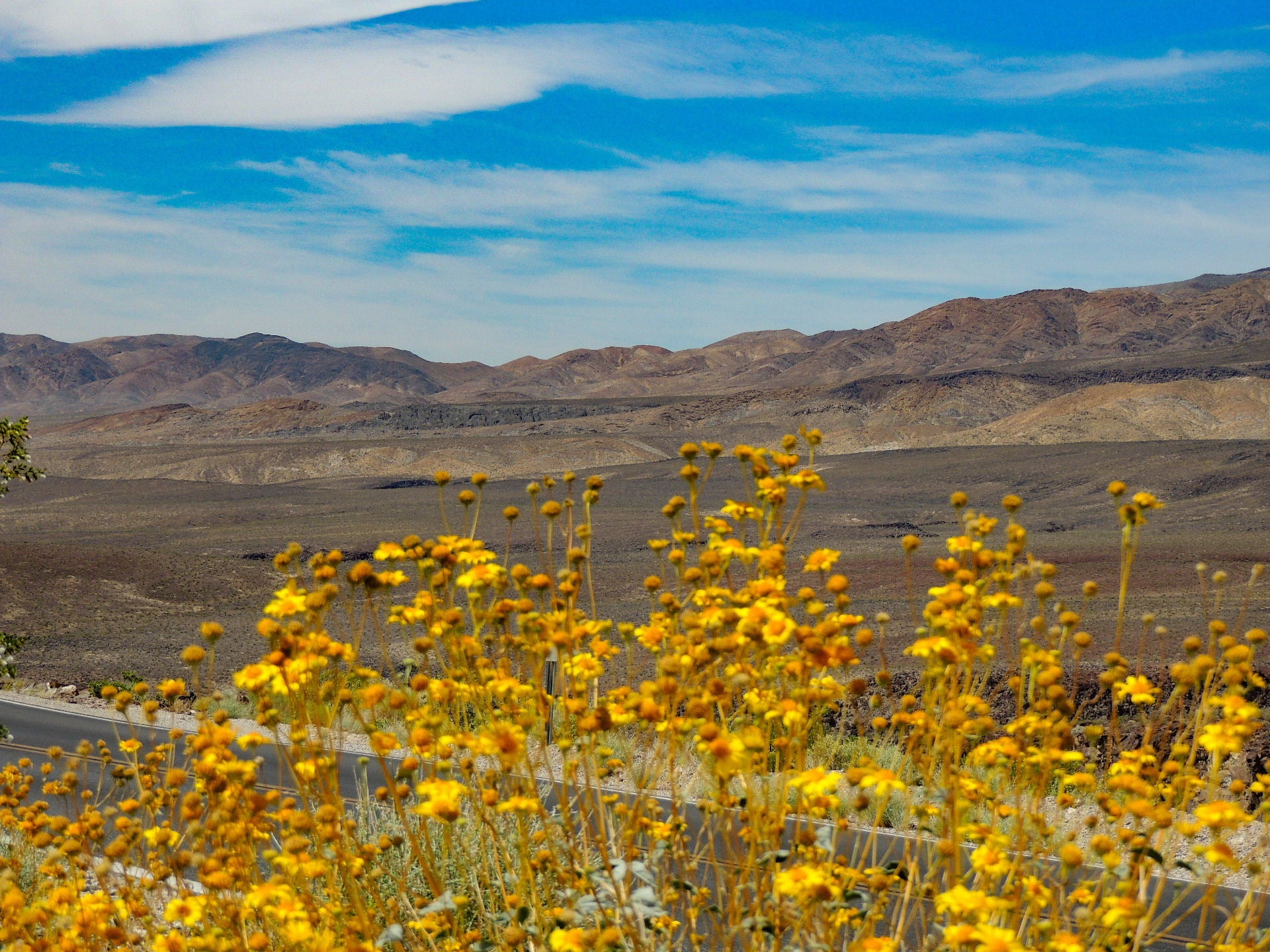 The best road trips from Las Vegas The Points Guy