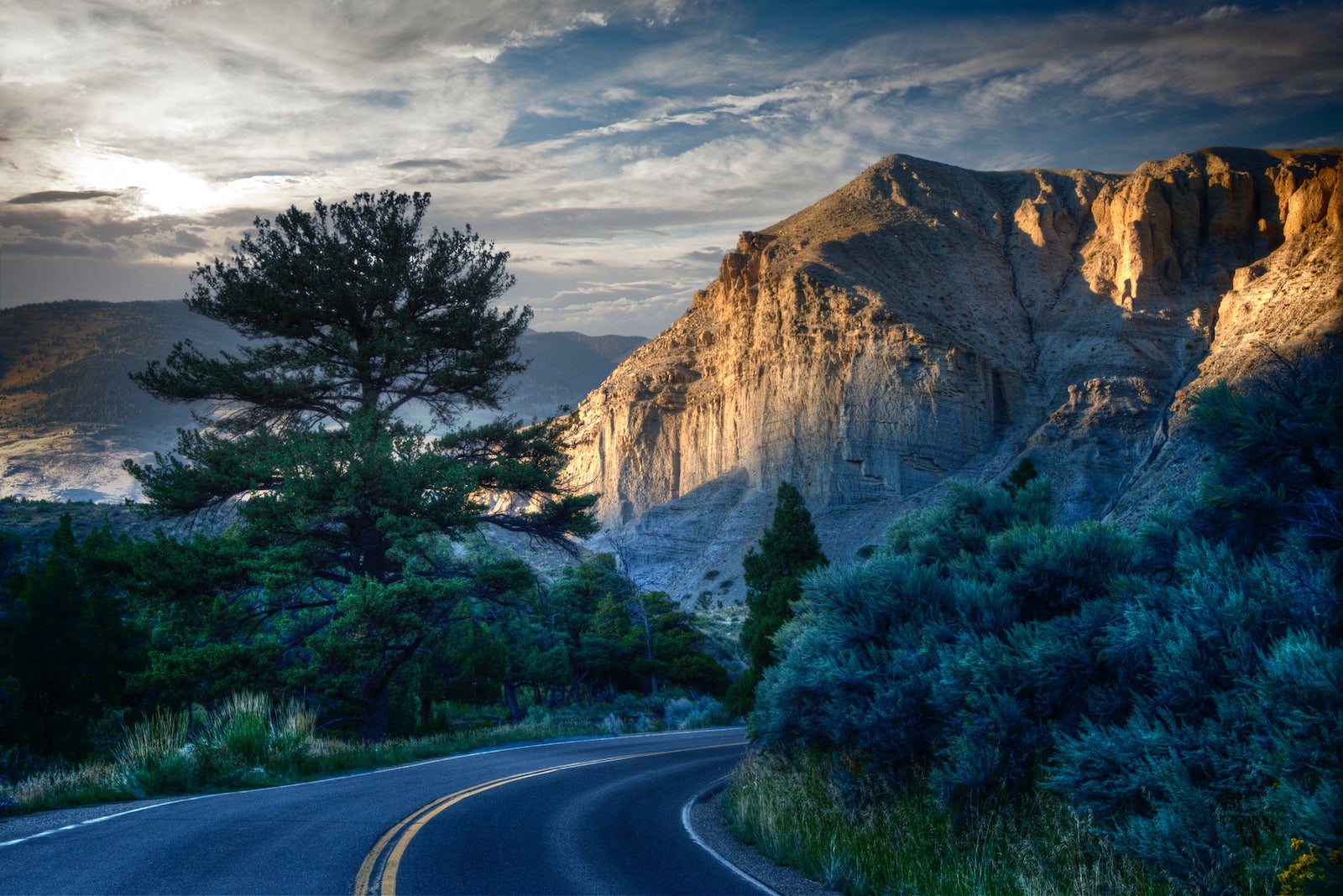 Curving Road in Yellowstone, Dusk