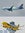 Spirit Airlines new colors vs old colors (Photos by Alberto Riva/The Points Guy)