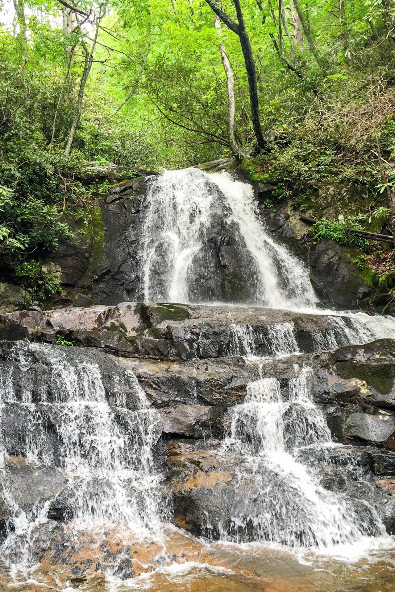 Everything you need to know to plan a trip to Great Smoky Mountains ...