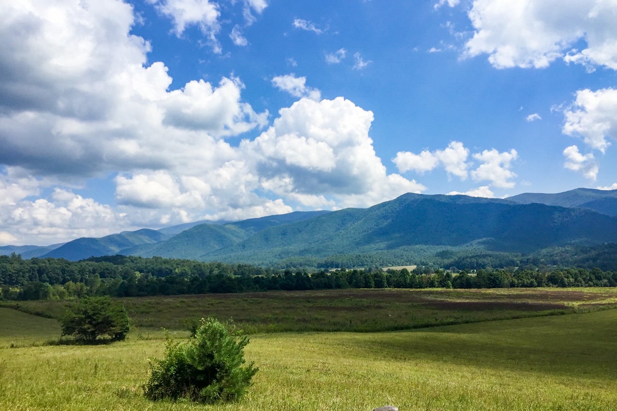 Everything you need to know to plan a trip to Great Smoky Mountains ...