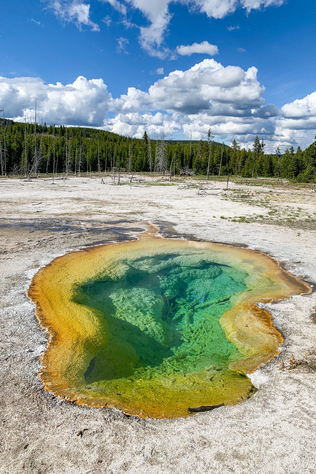 planning trip to yellowstone