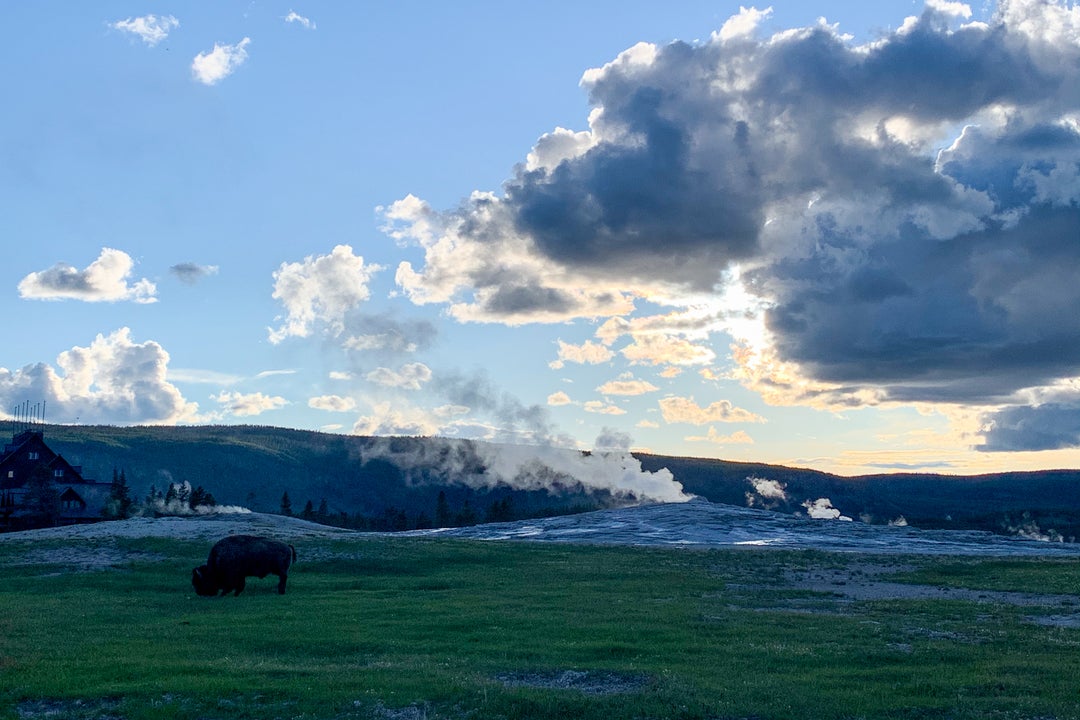 Complete guide to visiting Yellowstone National Park The Points Guy