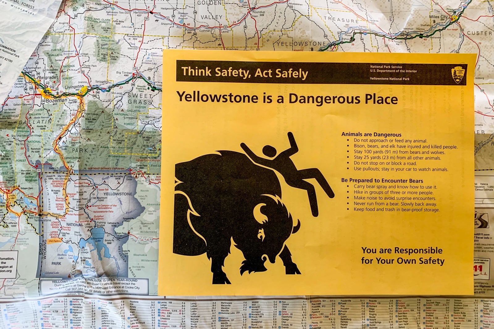 bison warning sign