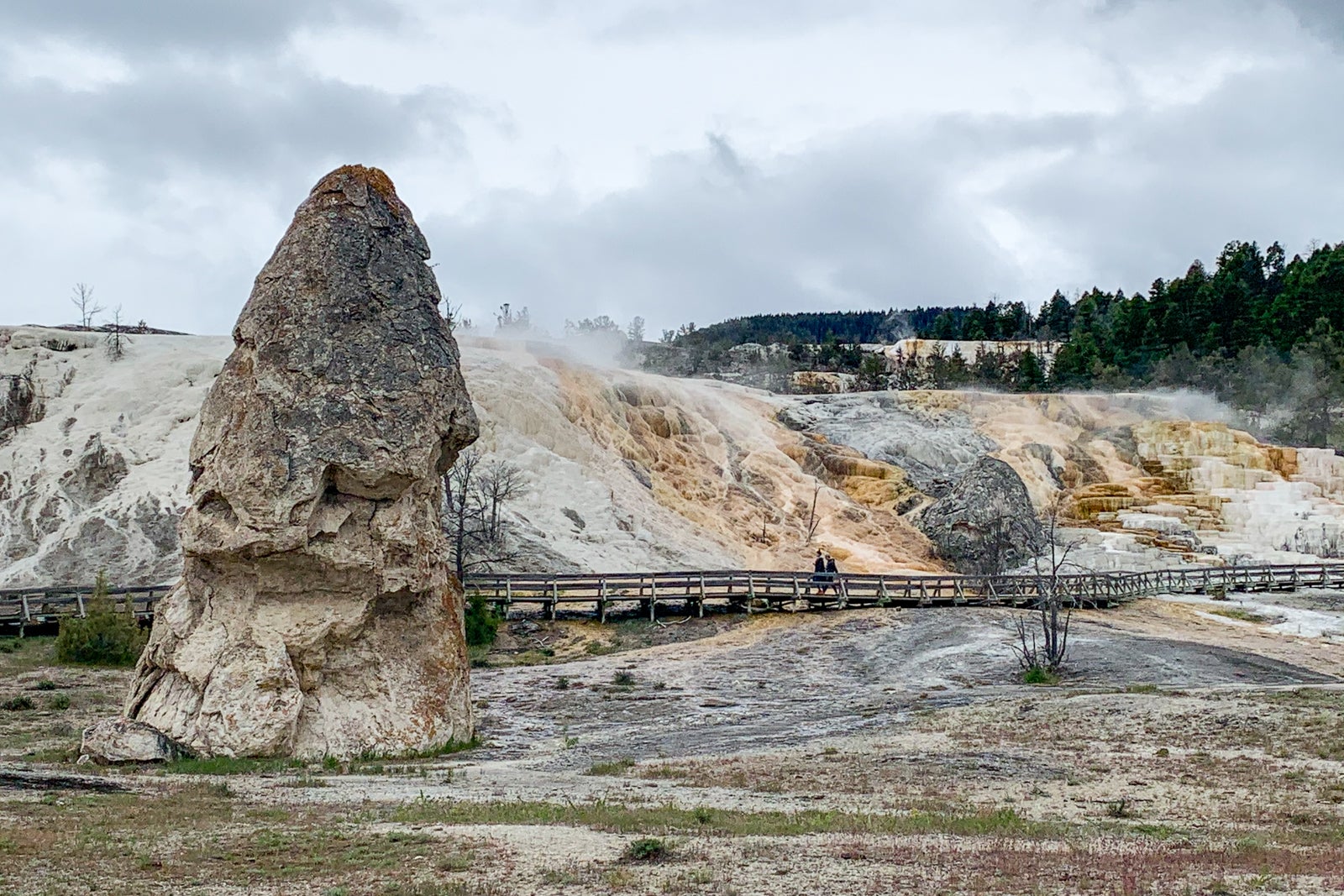 taking a trip to yellowstone national park