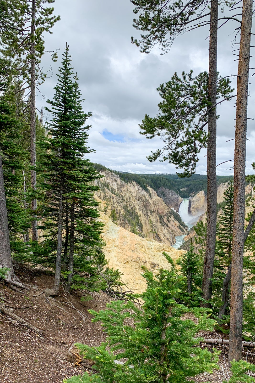 A beginner's guide to visiting Yellowstone National Park Everything