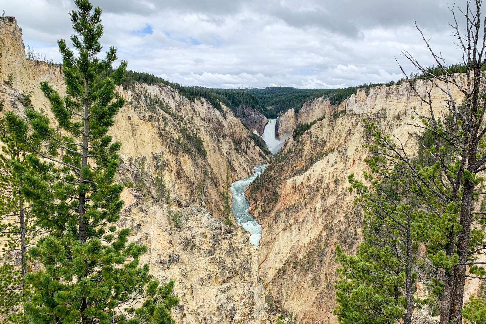 taking a trip to yellowstone national park