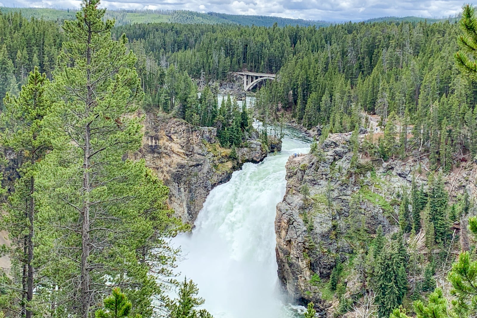Complete guide to visiting Yellowstone National Park The Points Guy